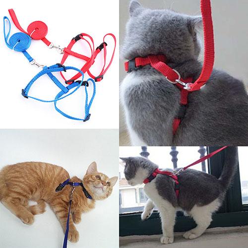 Adjustable Cat Dog Collar Reflective Harness And Leash Nylon Cat Puppy Pet Harness kitten Collar Lead Leash Traction collar gato