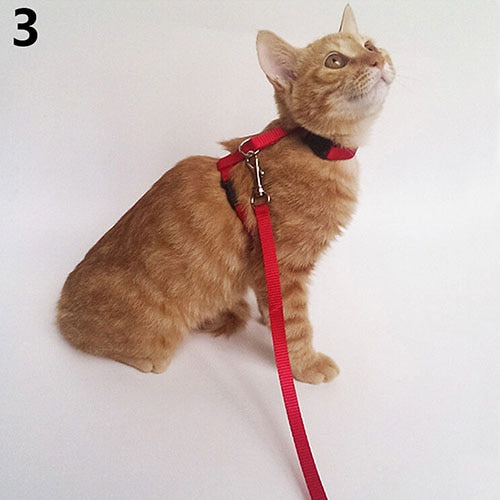 Adjustable Cat Dog Collar Reflective Harness And Leash Nylon Cat Puppy Pet Harness kitten Collar Lead Leash Traction collar gato