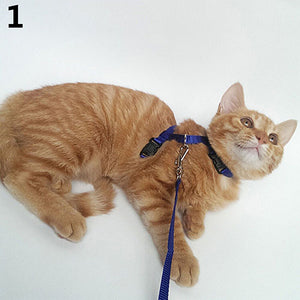 Adjustable Cat Dog Collar Reflective Harness And Leash Nylon Cat Puppy Pet Harness kitten Collar Lead Leash Traction collar gato