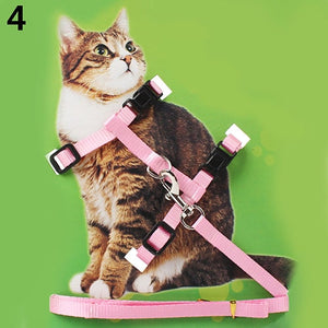 Adjustable Cat Dog Collar Reflective Harness And Leash Nylon Cat Puppy Pet Harness kitten Collar Lead Leash Traction collar gato