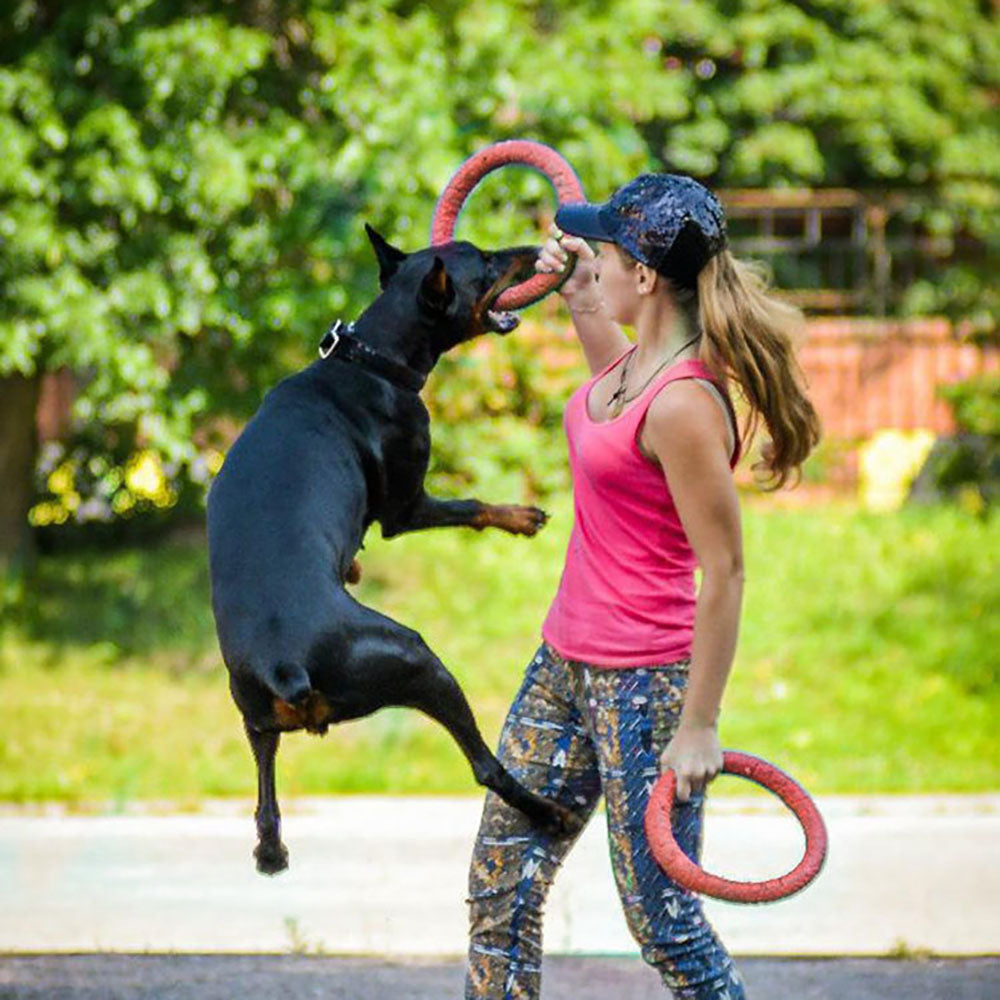 2019 Dog Flying Discs Pet Training Ring Interactive Training Dog Toy Portable Outdoors Large Dog Toys Pet Products Motion Tools