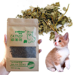 Pet Supplies Catnip Menthol Flavor Funny Cat Toys Organic 100% Natural Premium Cattle Grass 10g Pet Products