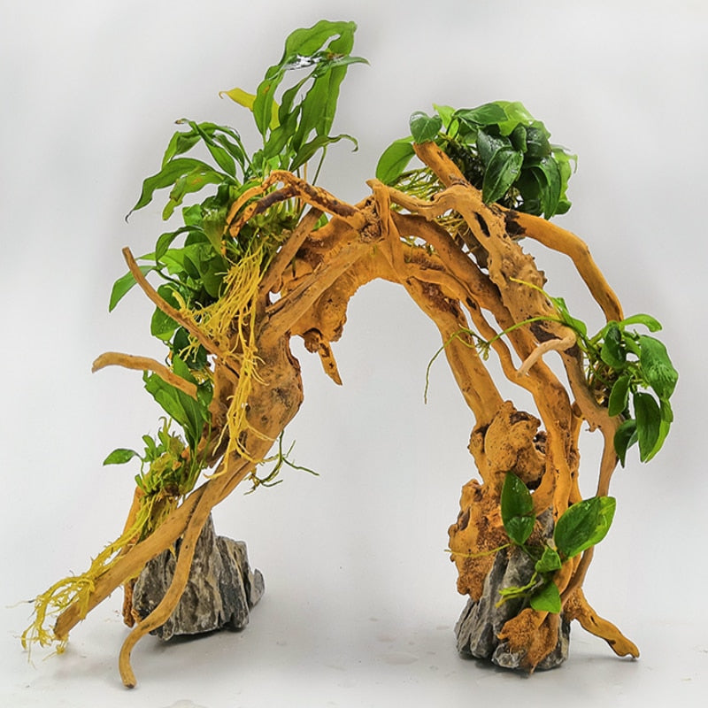 Driftwood Aquarium Landscaping Forest Wood Into Moss Tree Grass Tank stone Potted plant Small Rhododendron root DIY bonsai new